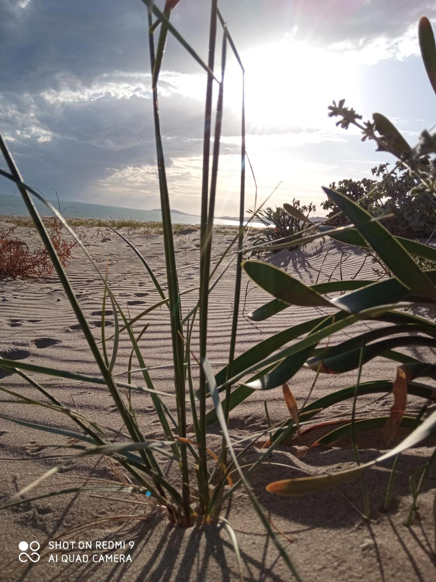natura e relax sul mare Gela Exterior foto